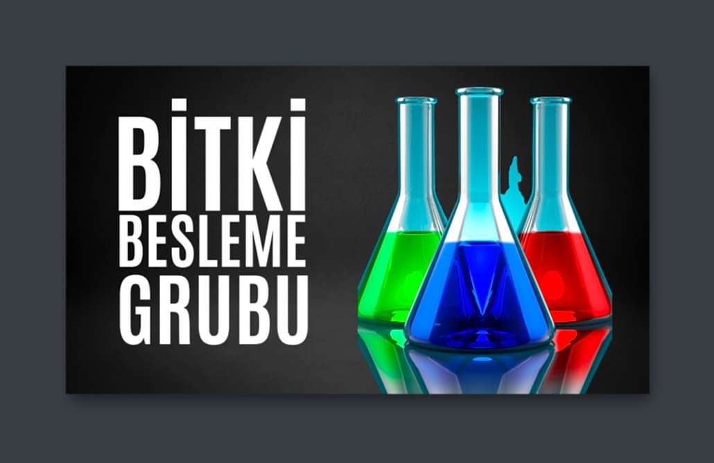 Vital Tarım  