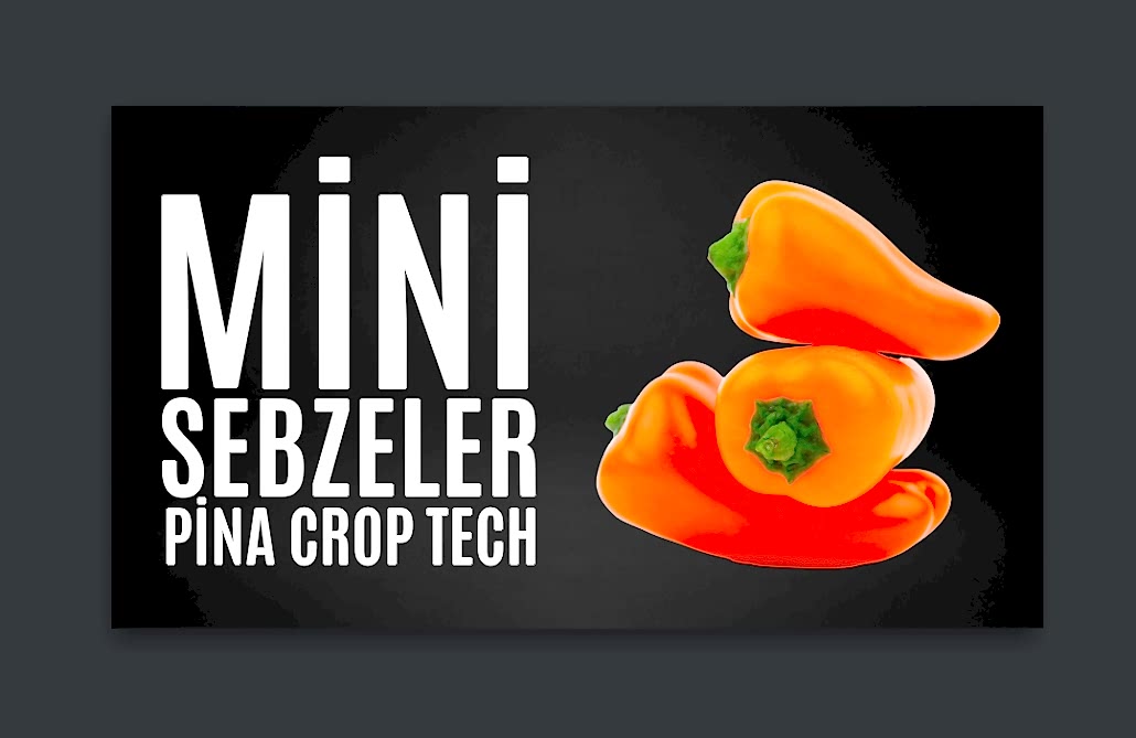 Vital Tarım  
