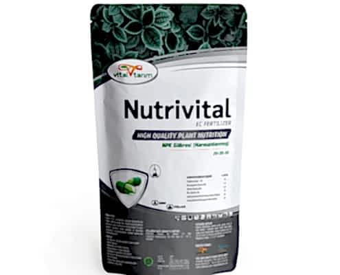 Vital Tarım  